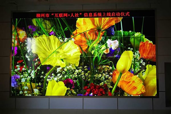 柳州人社局-電子無(wú)縫拼技屏